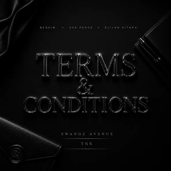 terms and conditions by ava peace ft Elijah kitaka ft Nessim